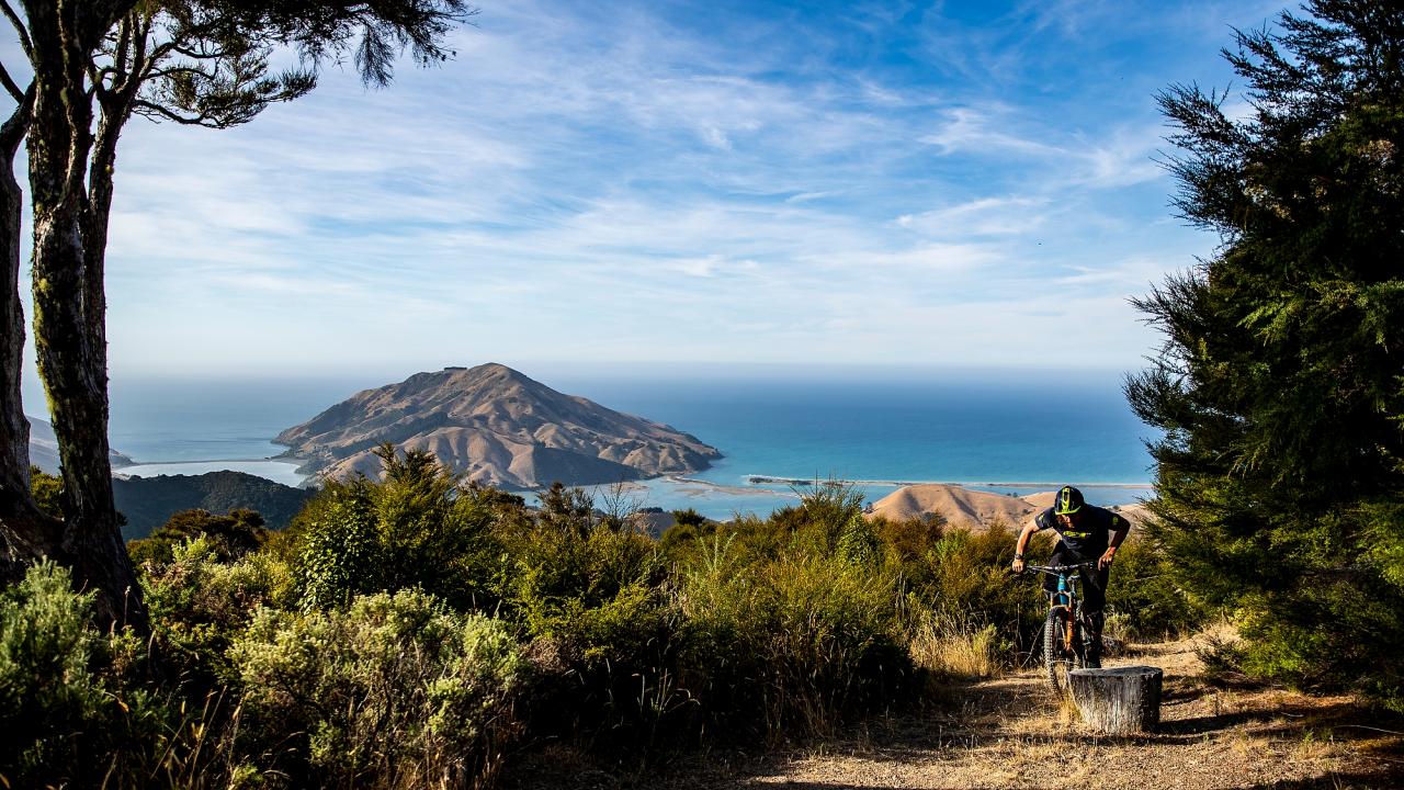 Epic views of Cable Bay.