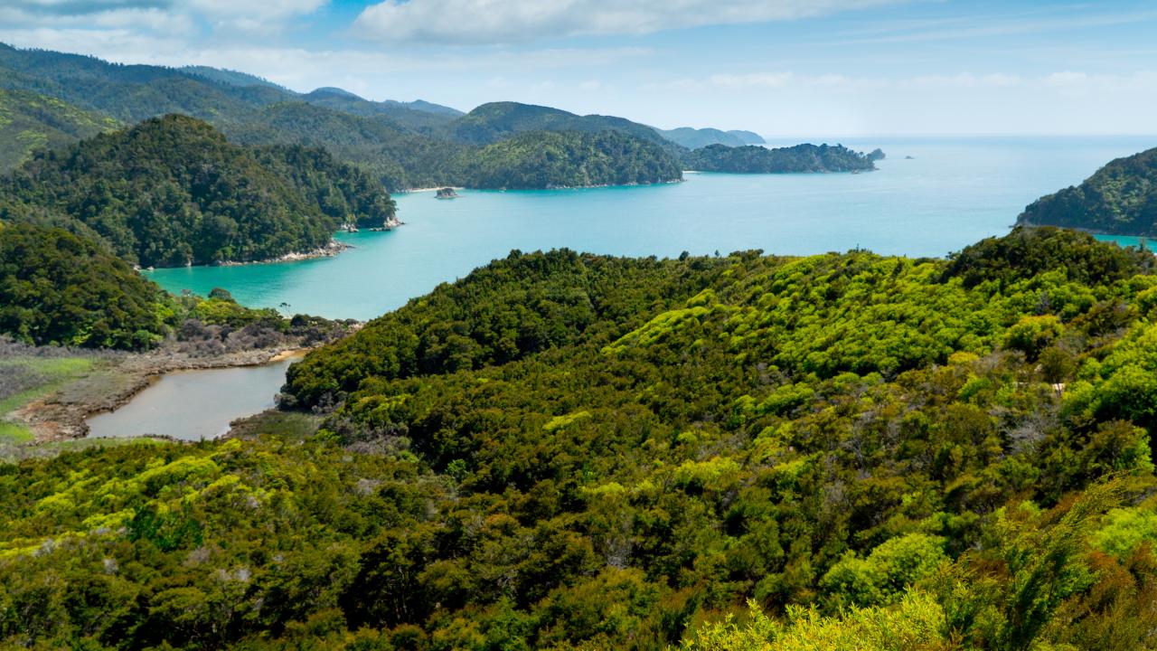 Enjoy the beautiful scenery of Abel Tasman National Park