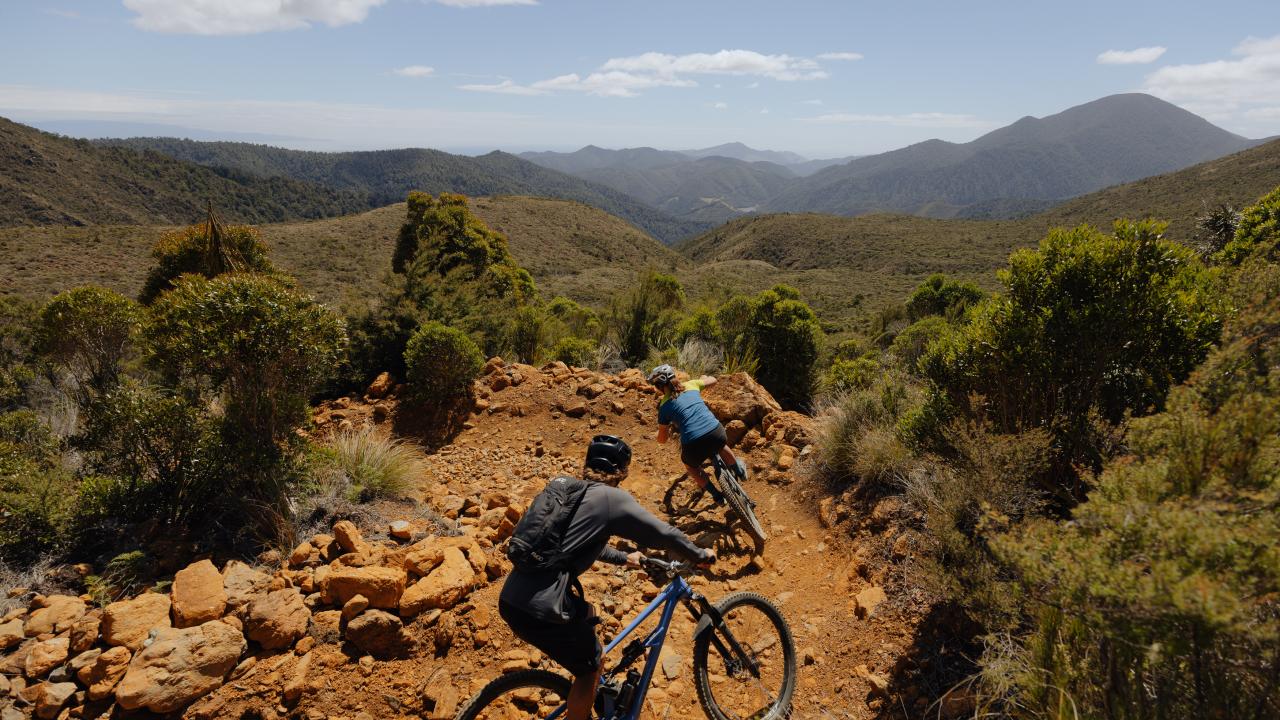 Experience Epic Nelson Mountain Bike Trails with our expertly curated mountain bike shuttle services.