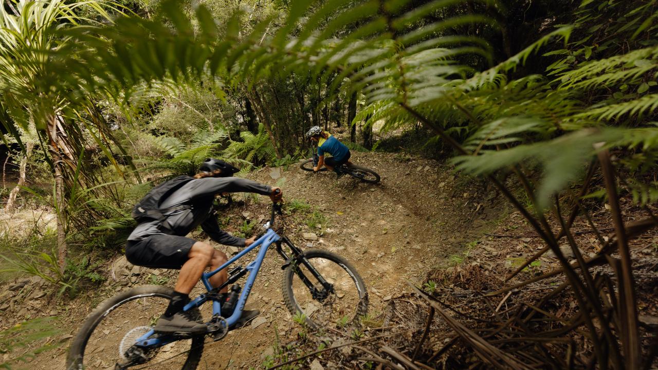 Our mountain bike shuttle services take you to the best trails in Nelson for the skill level and interests of your group.