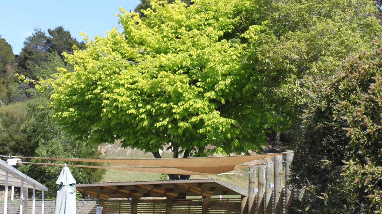 Outdoor BBQ area