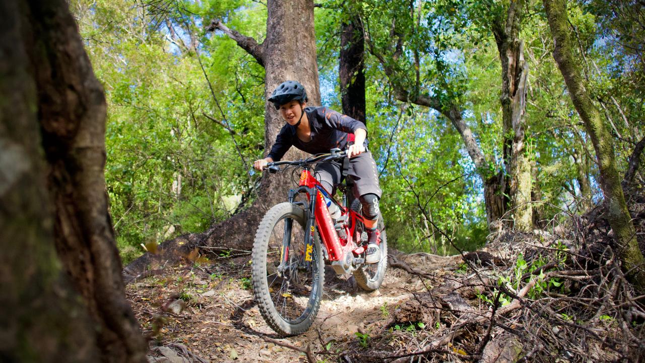 Gravity's expert guides and top-of-the-line e-MTBS are a winning combination for maximising your riding around Nelson, New Zealand.