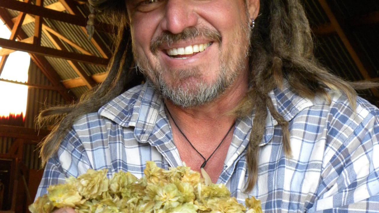 Hop harvest
