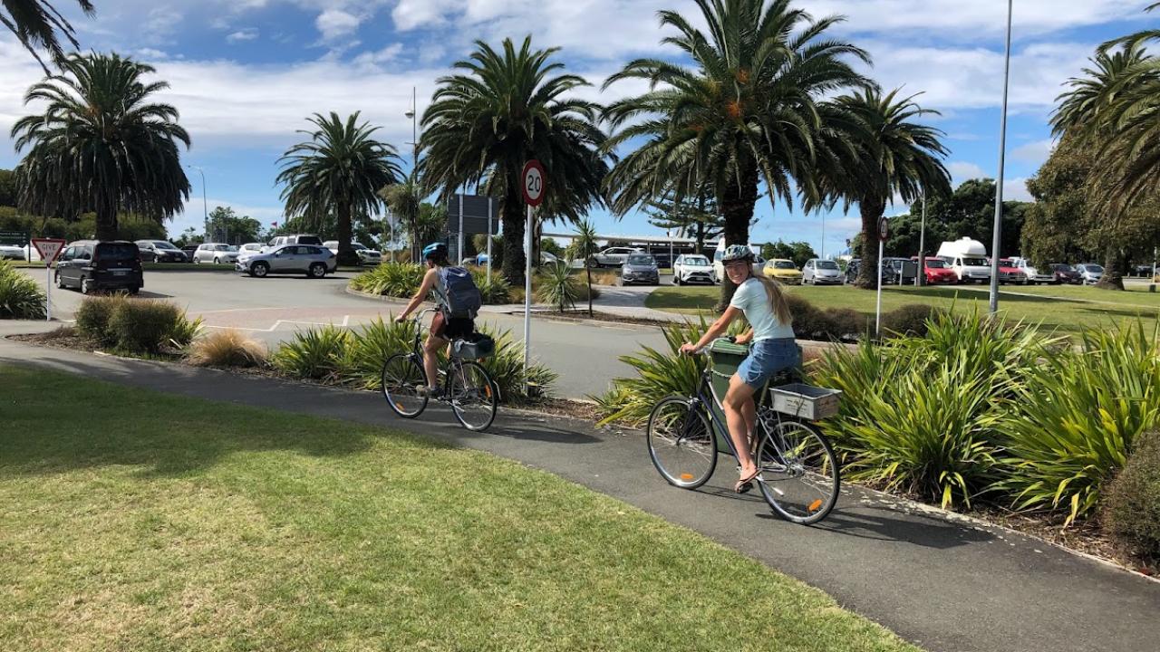 Bikes & palms