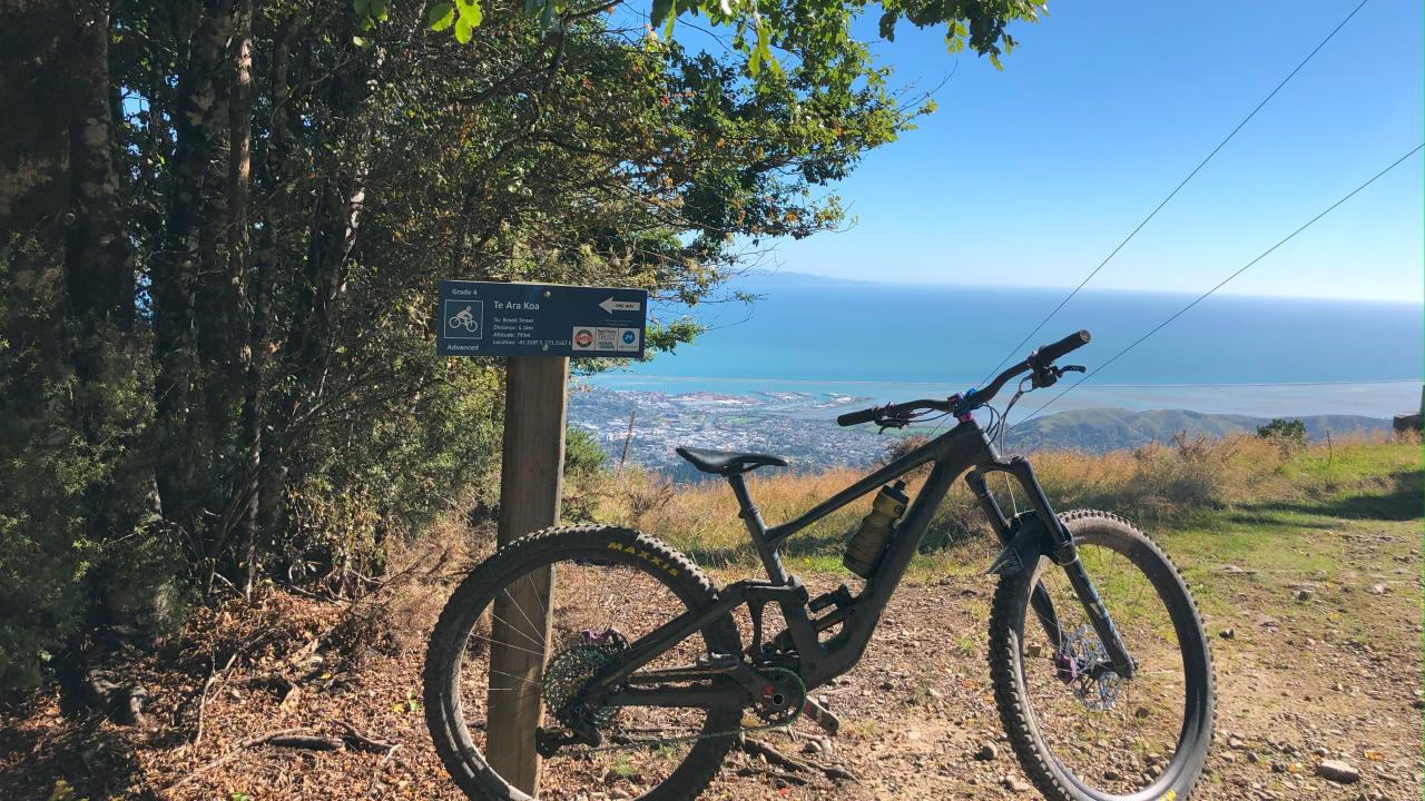 Te Ara Koa - Fringed Hill 