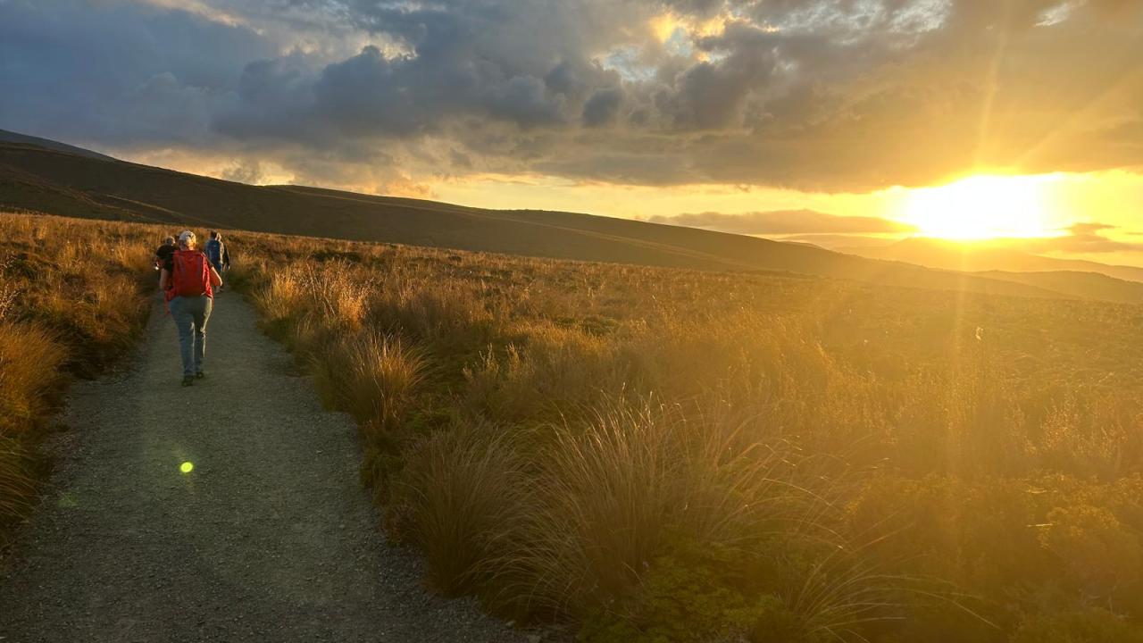 2 Hour Pre Sunset guided walk 