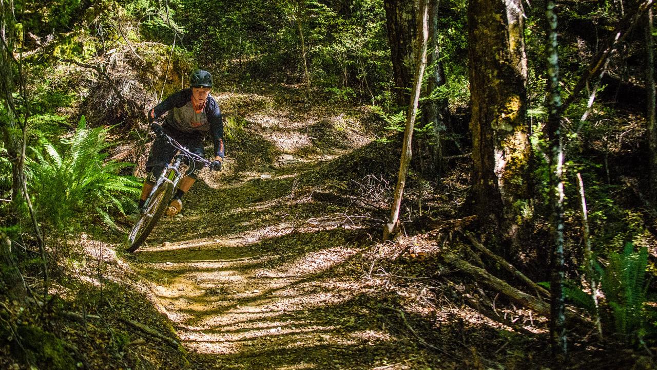Experience Wairoa Gorge's famous "cornflakes" covered trails.