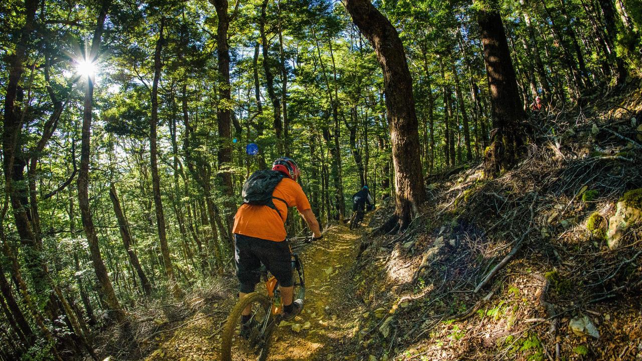 Hand-built trail goodness in every direction with something for every level of rider.