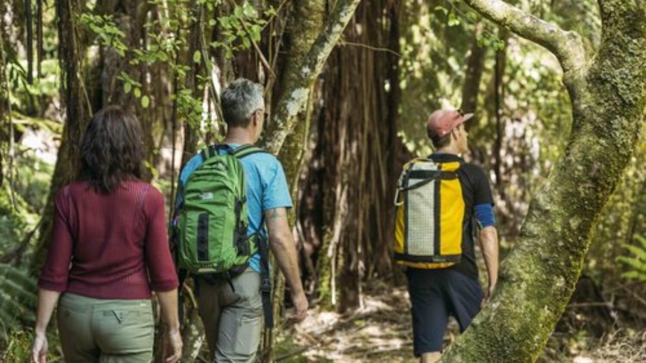 Hiking Abel Tasman National Park