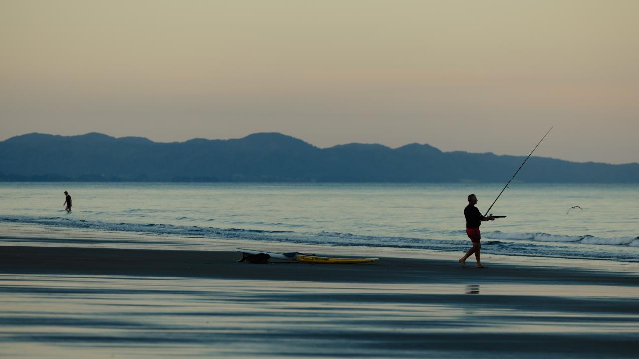 Beachfront Fishing