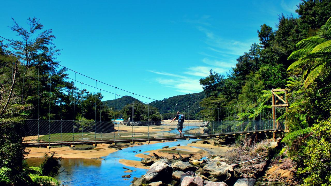 Bark Bay Falls Swing Bridge