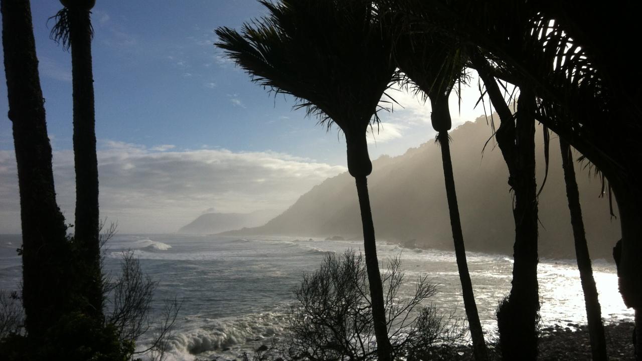 Heaphy Track coastline