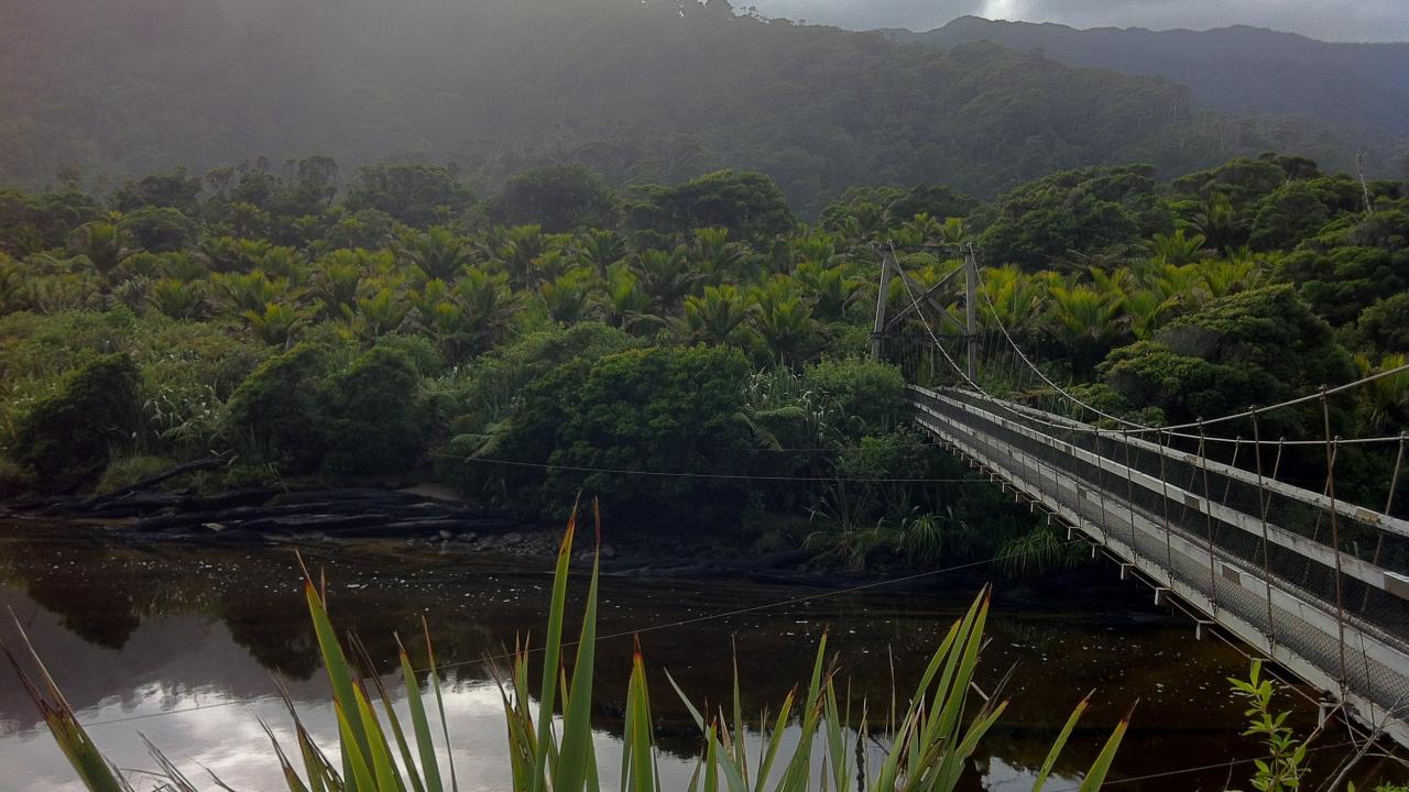 Heaphy Track, Kohaihai