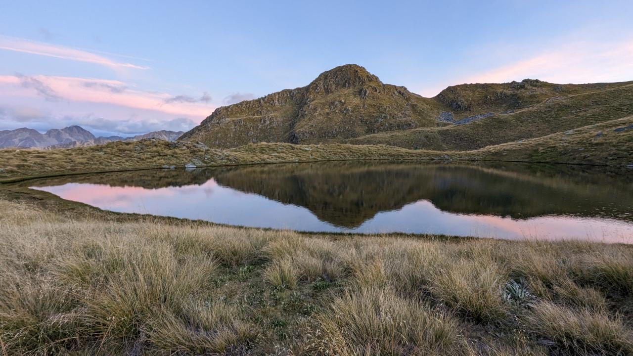 Mole tops, Nelson Lakes National Park