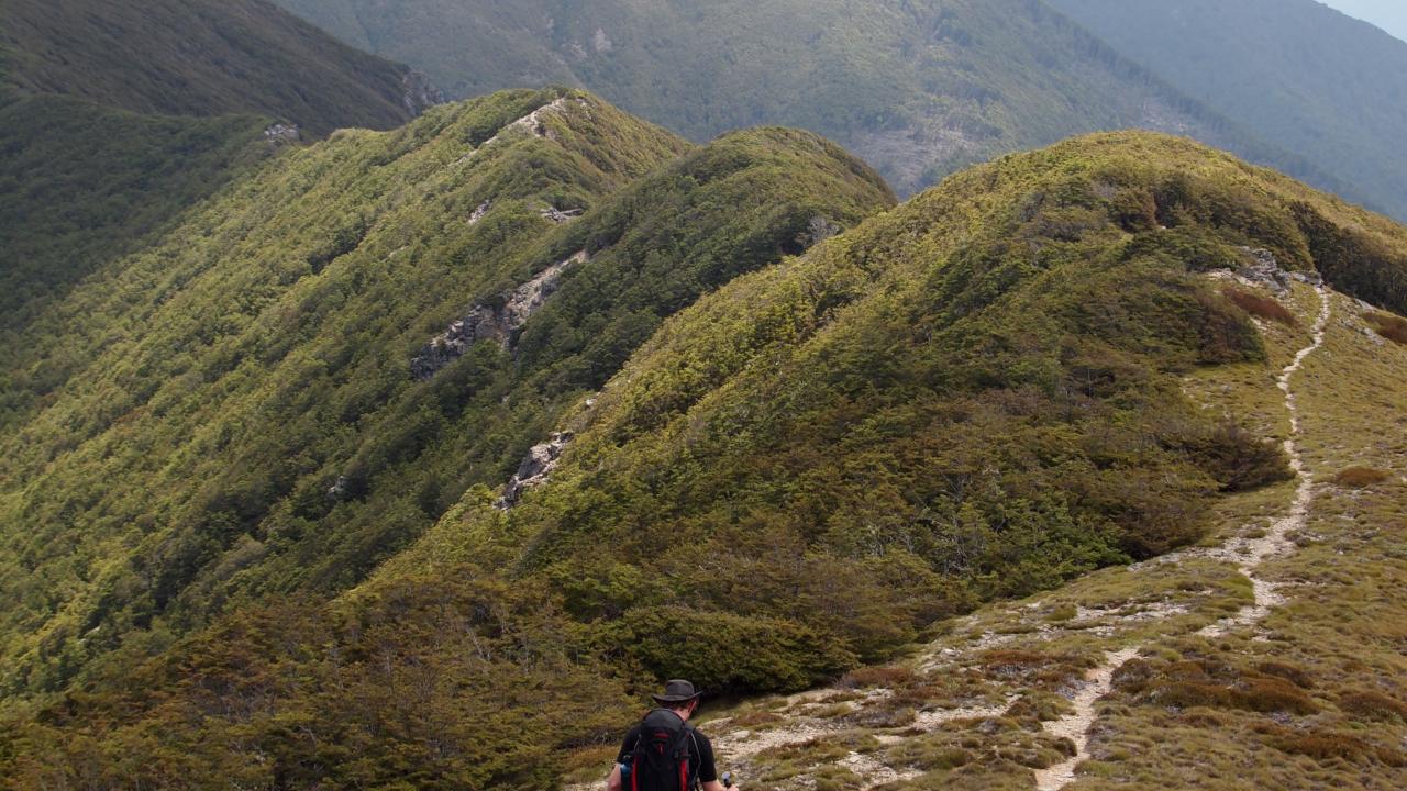 Mount Richmond Alpine circuit