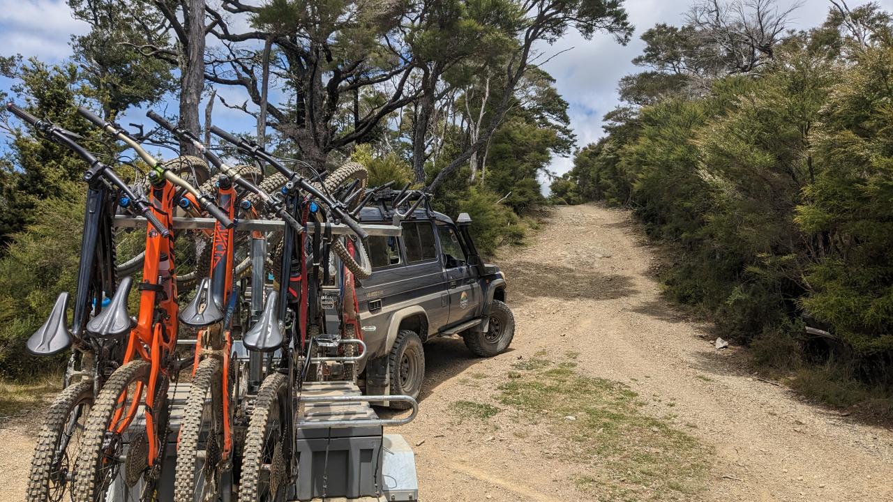Cable Bay Adventure Park