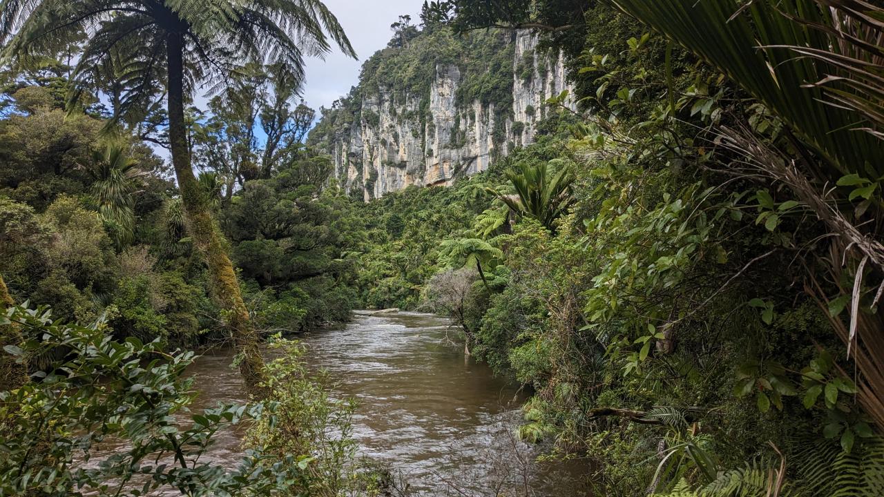 Paparoa National Park