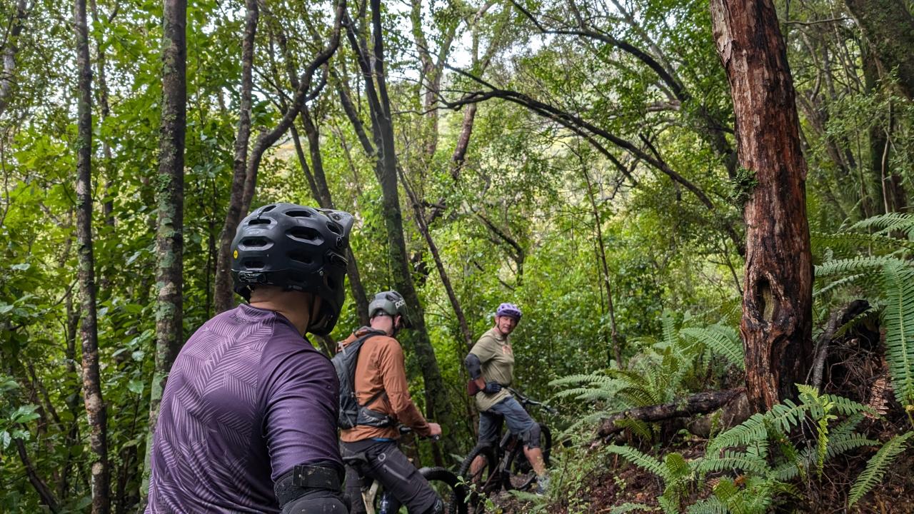 Adventure Transport in the Top of the South Island - Scottish Express