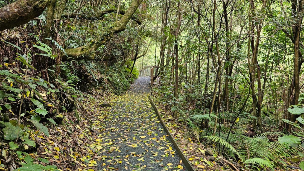 Conservation is the core focus of the Sanctuary. 