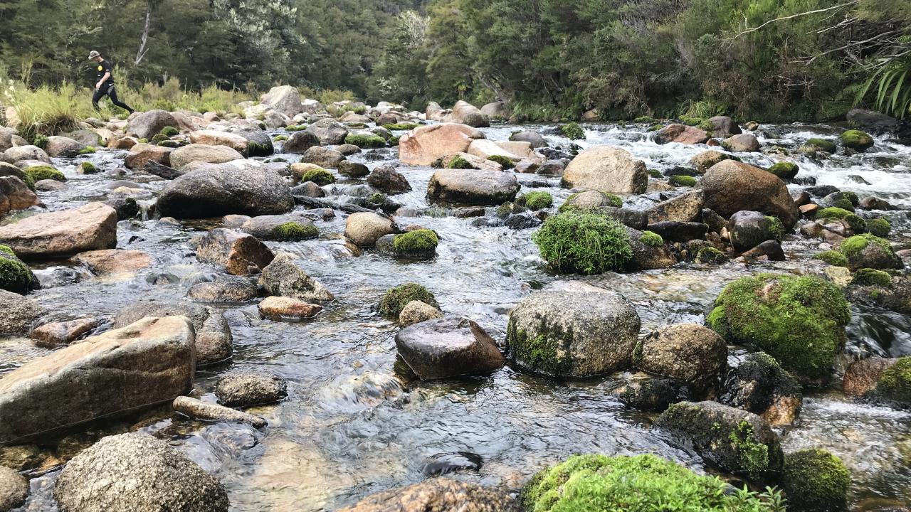 Abel Tasman River
