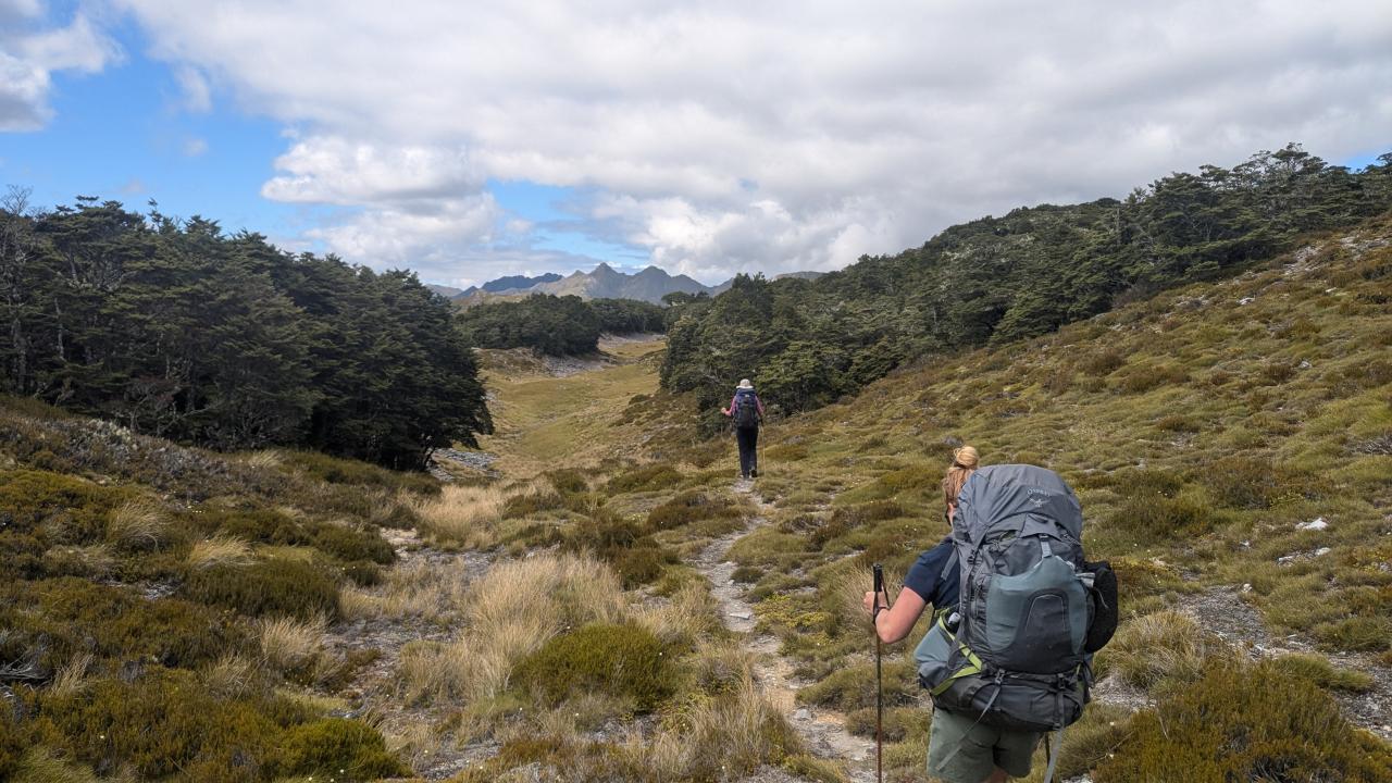 Lockett Range, Kahurangi National Park