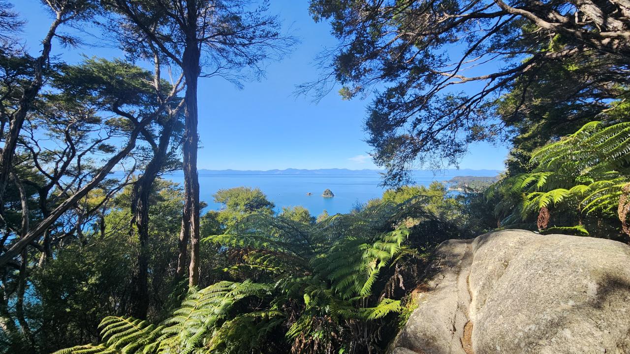 Look out at South Head