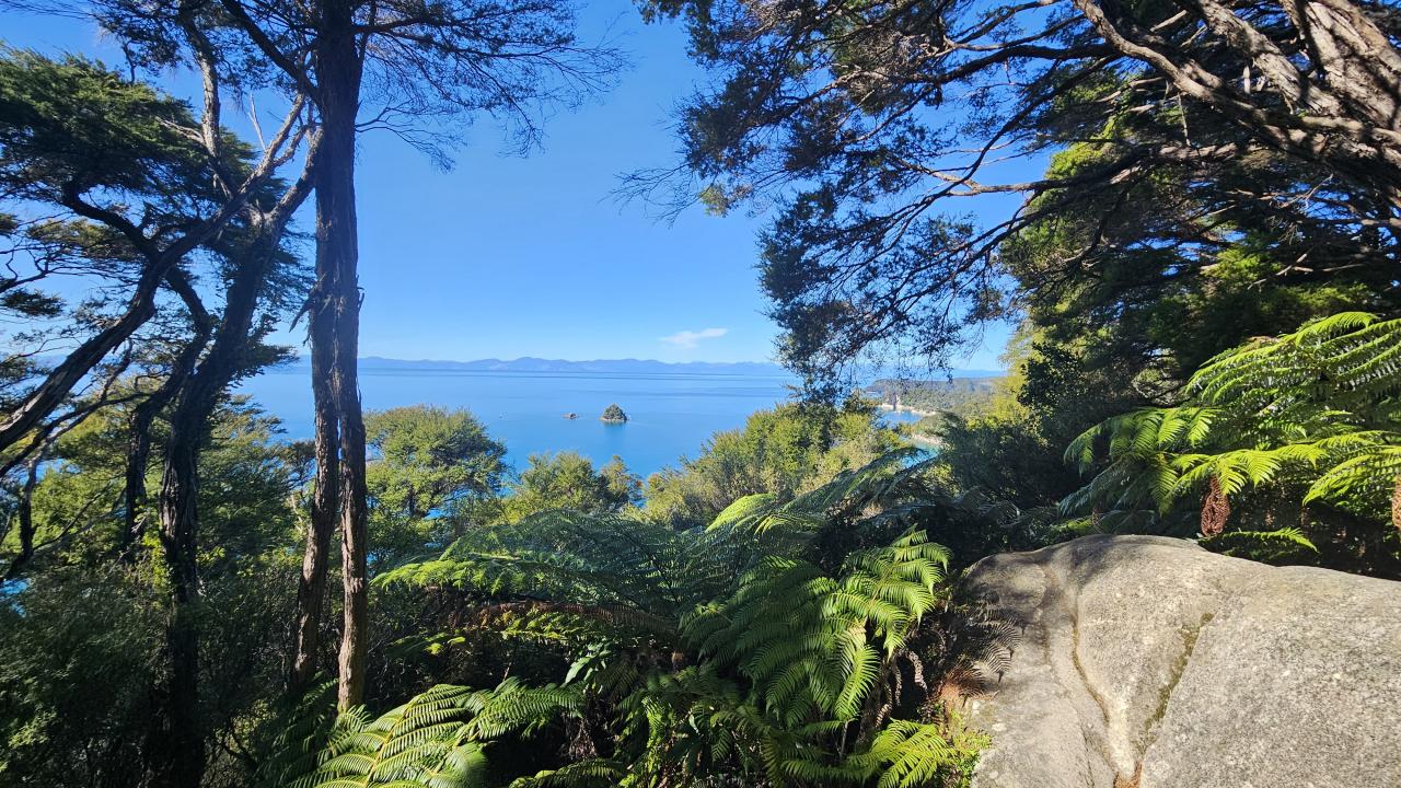 South Head Lookout