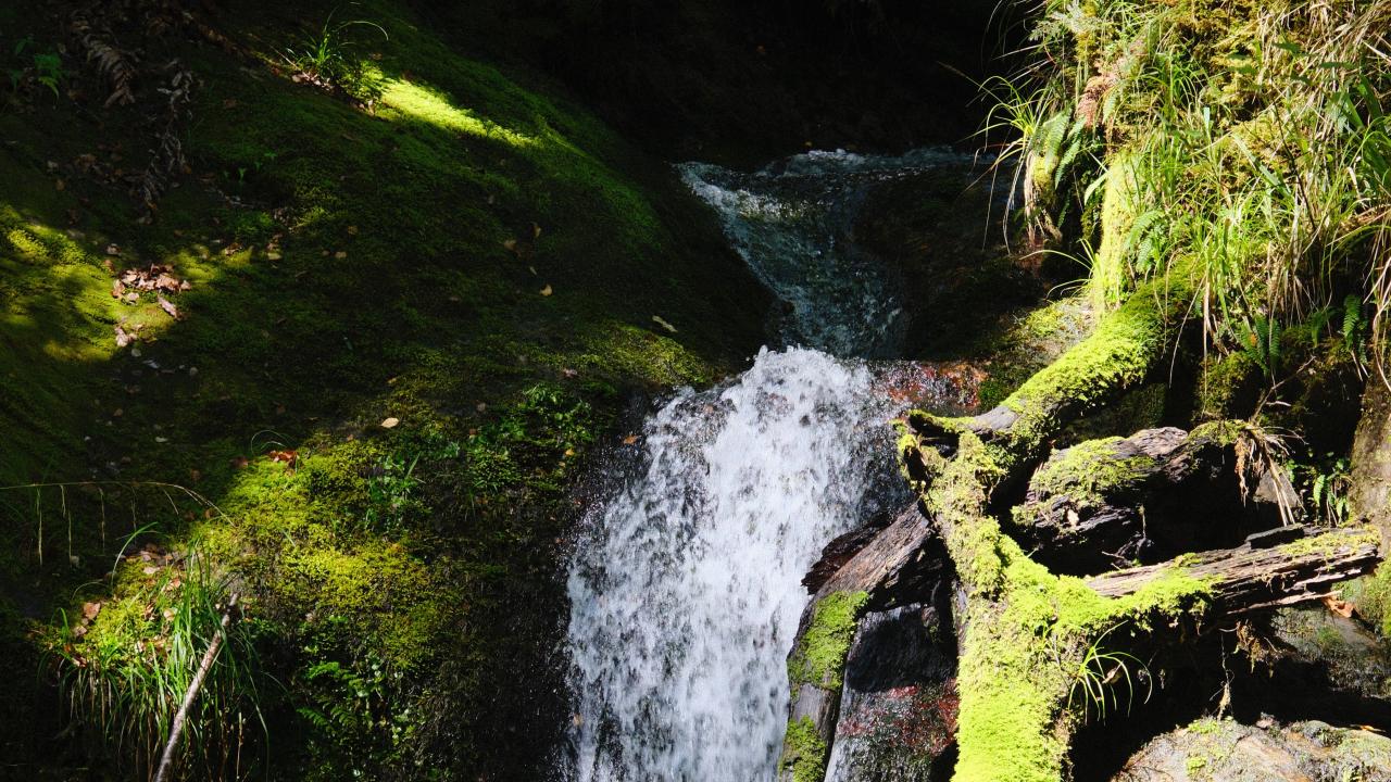 Waterfall of Maruia River Retreat