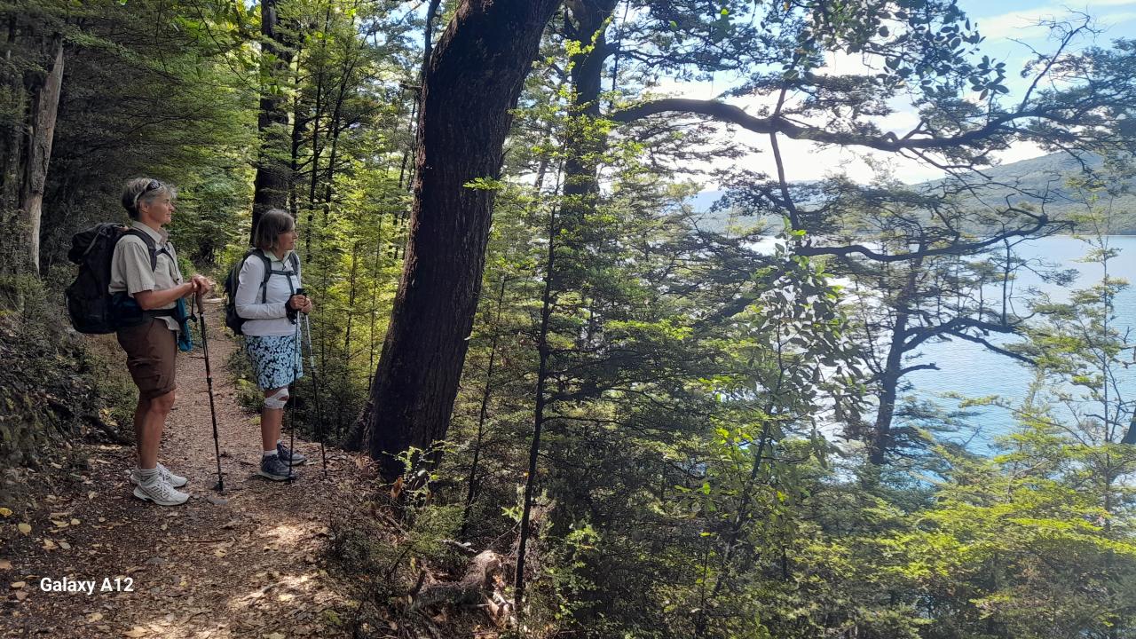 Lake Rotoiti Lakeside walk.