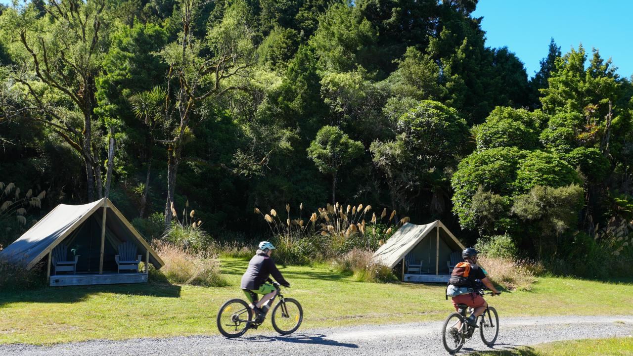 Bike in from the Timber Trail