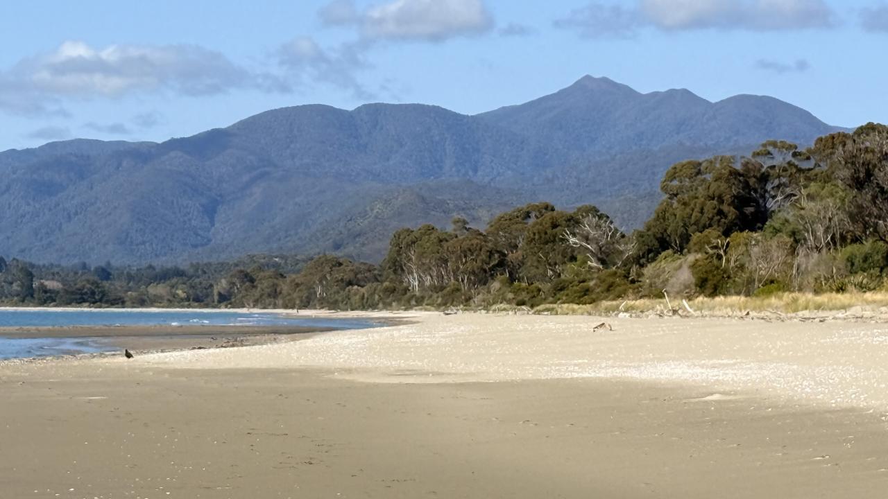 A gorgeous beach on your doorstep and endless trails in Milnthorpe Park.