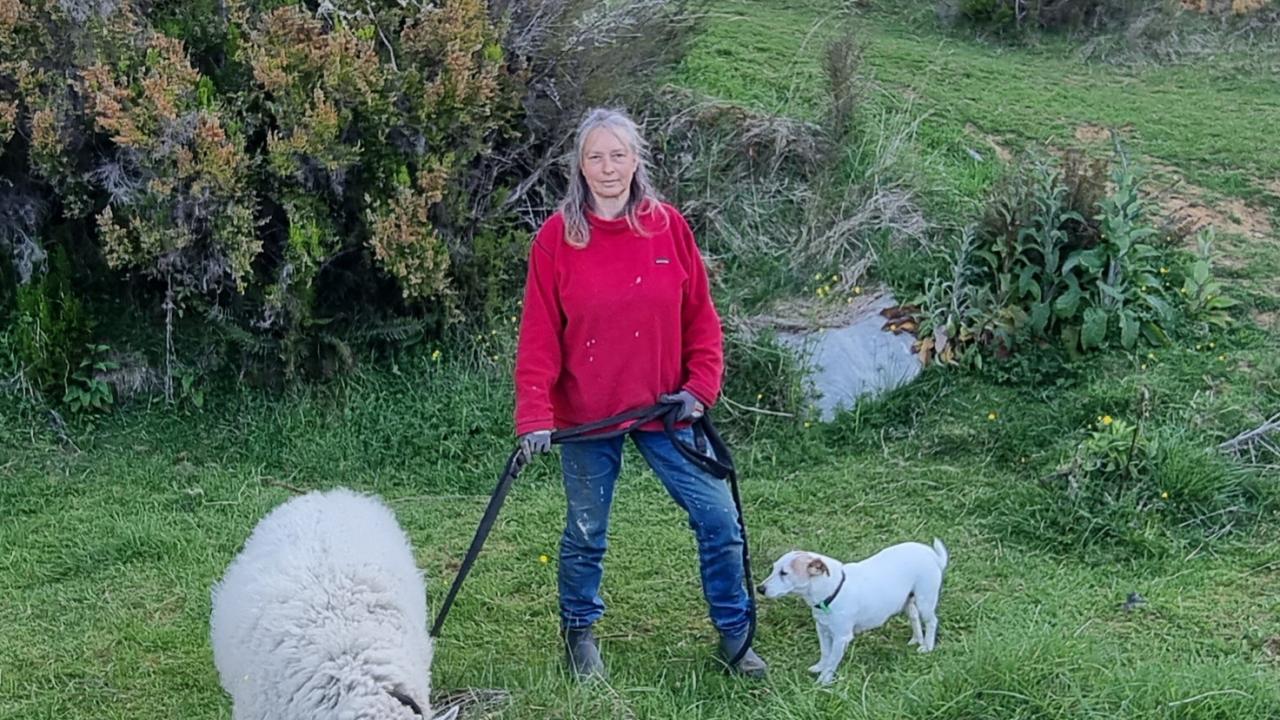 Dog walks at Hidden Valley Farm