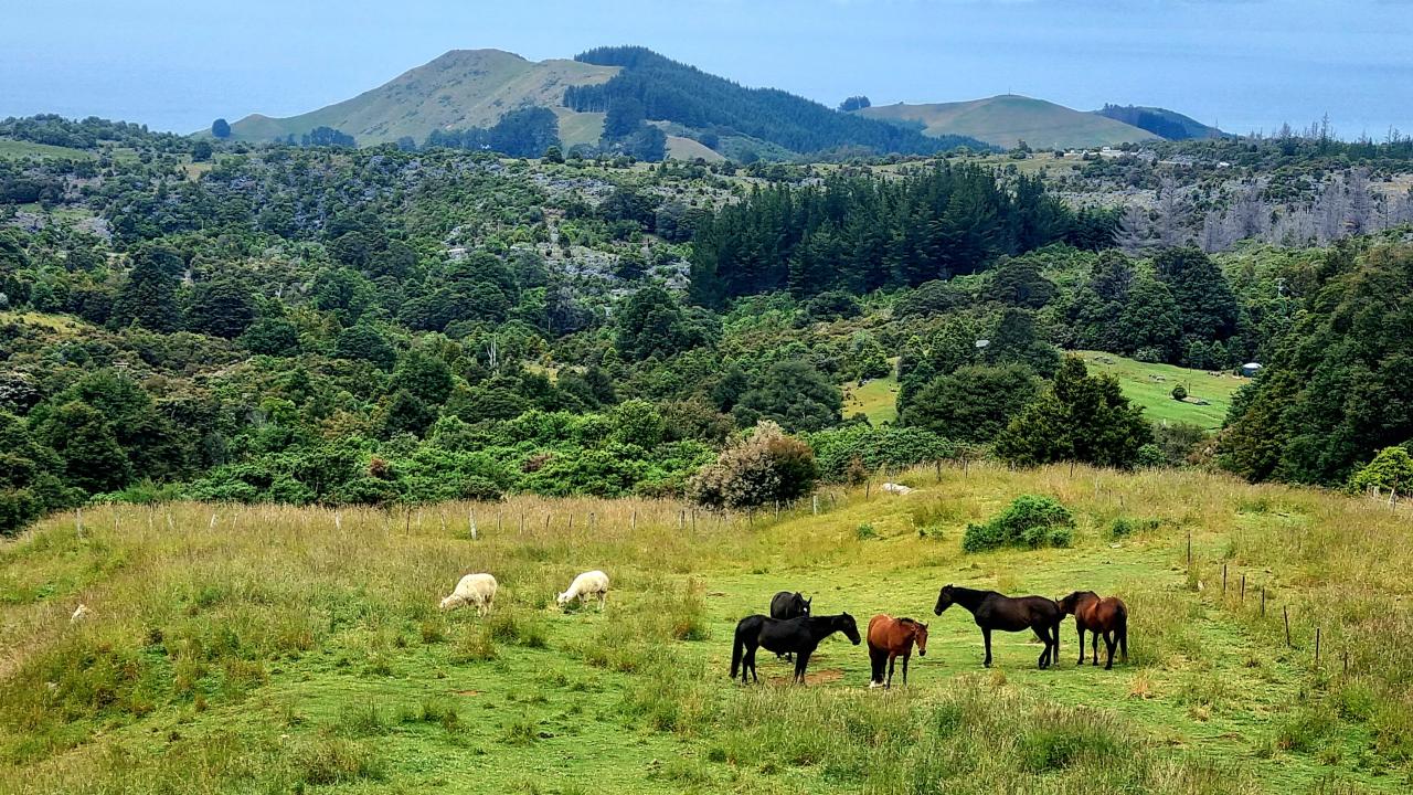 400 acres of open farm and wilderness