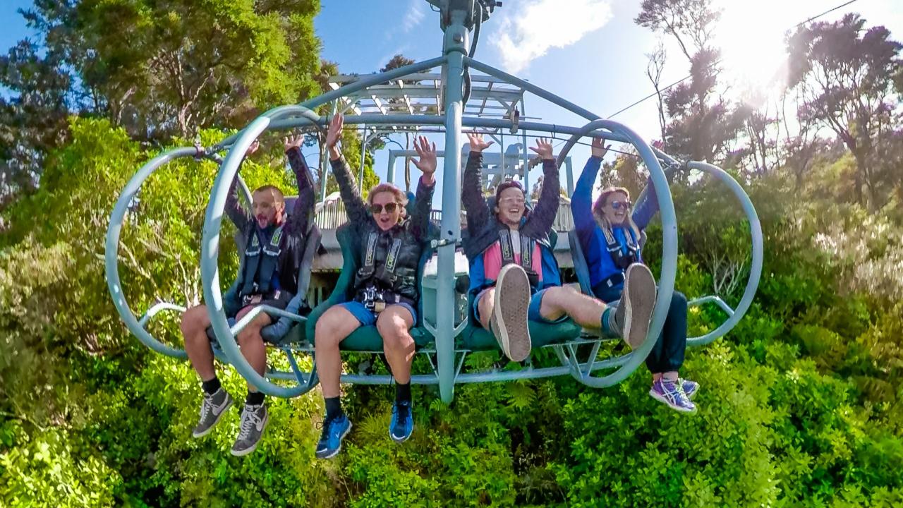Skywire Experience - Cable Bay Adventure Park