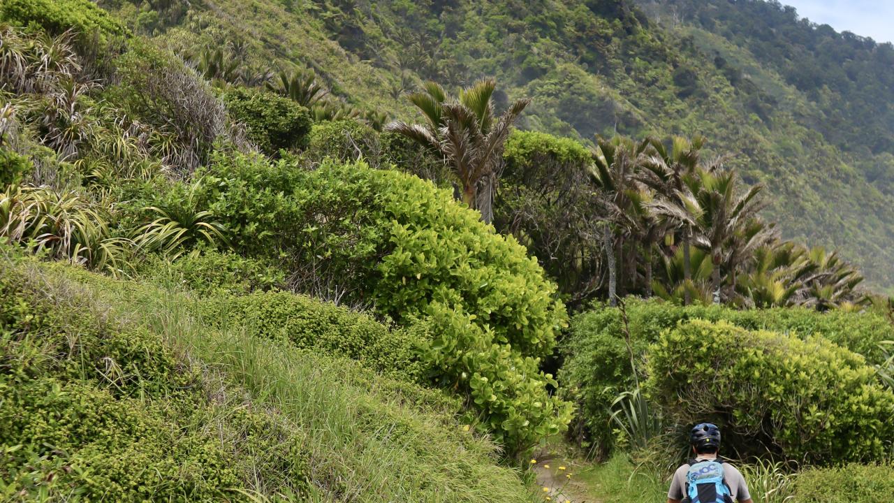 Explore some of the best bike touring trails in the world