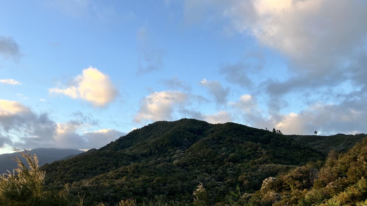 Foothills of the Kahurangi National Park surrounding the retreat