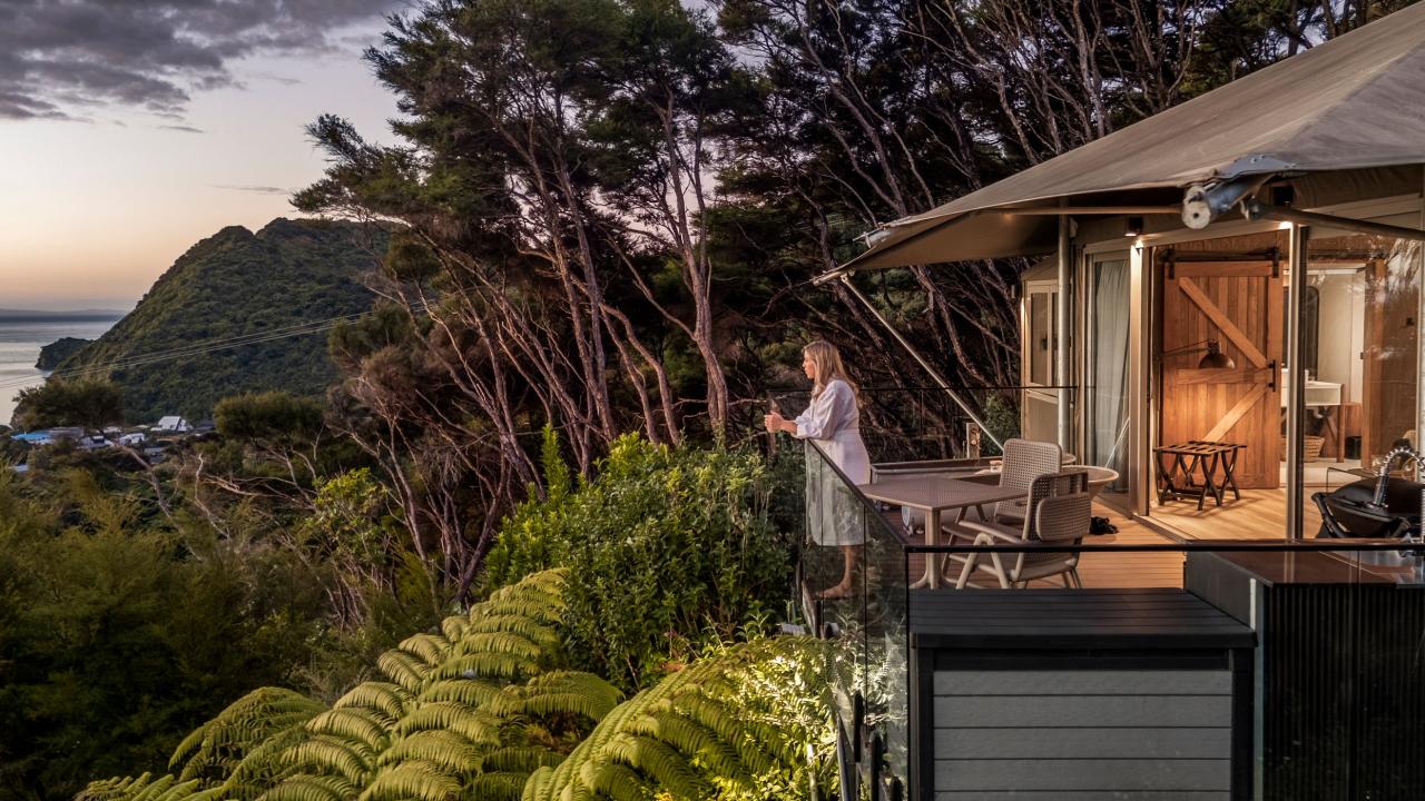 Tent Kanuka - perched high up into the trees