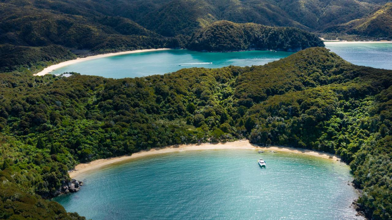 Get into the heart of the Abel Tasman and enjoy a day of exploring the highlights with our experienced and knowledgeable crew.