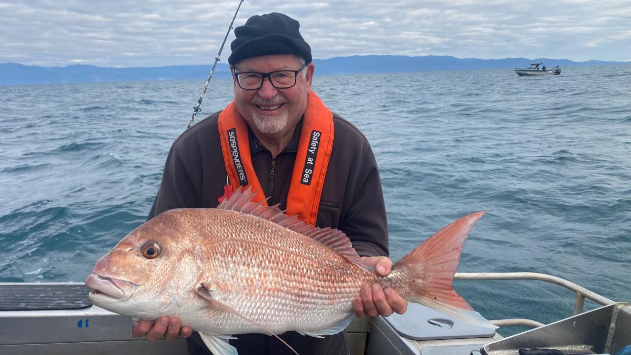 Snapper