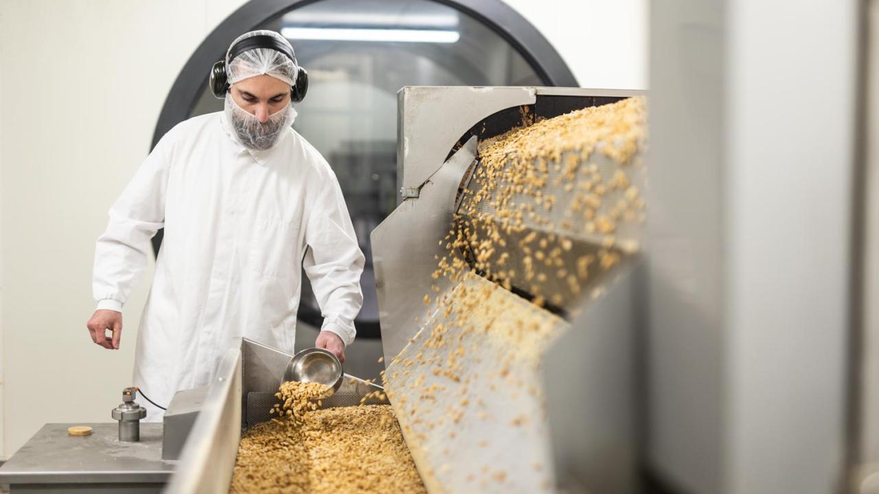 Freshly roasted peanuts with Shaun