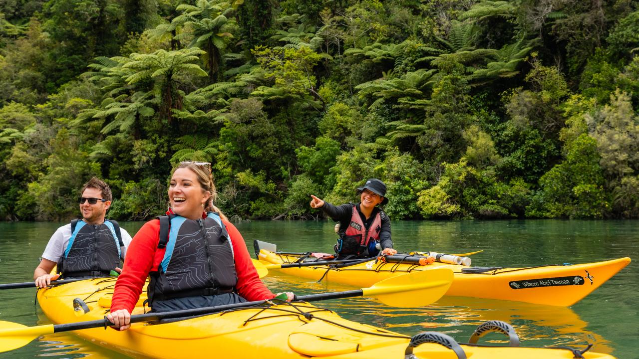 Guided sea kayaking with Wilsons Abel Tasman