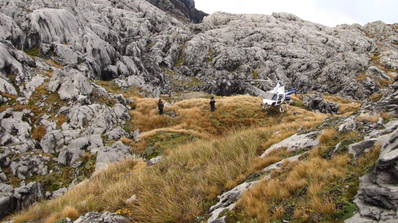 Mt Owen