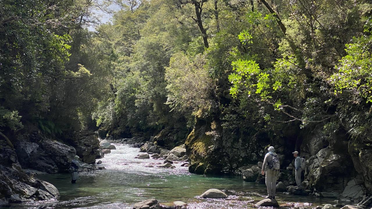 Kahurangi Fly Fishing