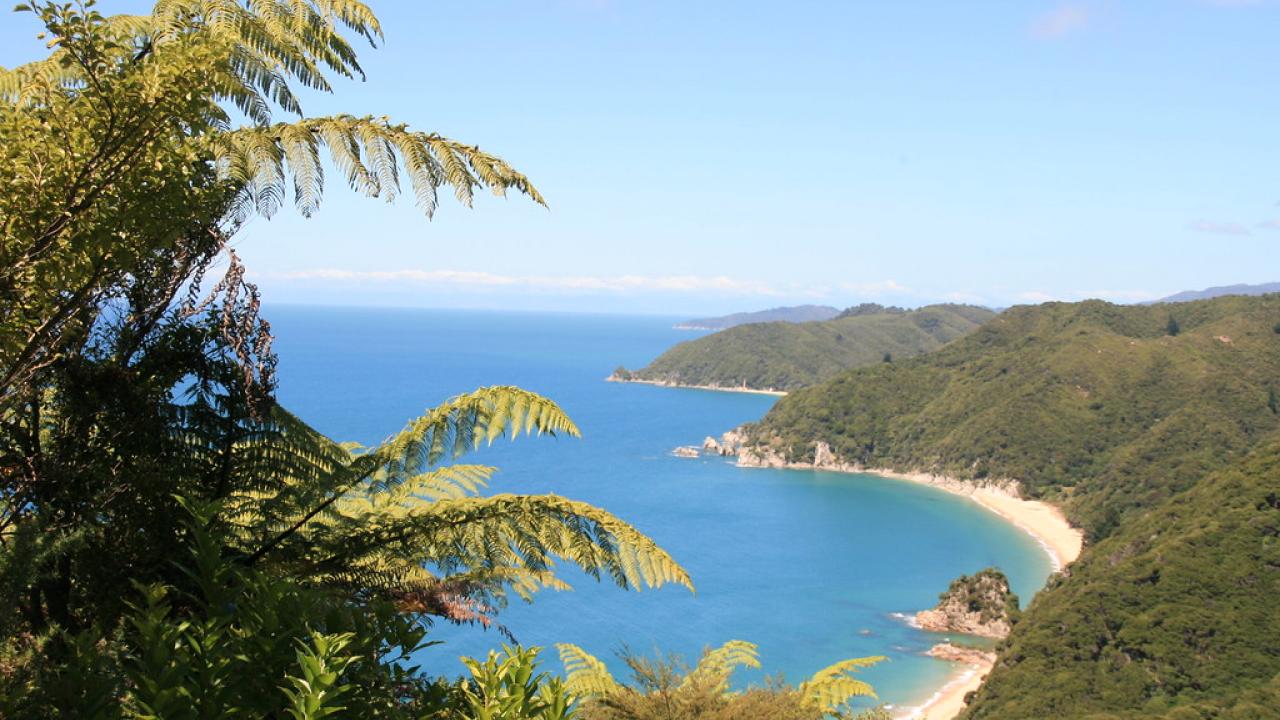 View over a wonderful bay in the Abel Tasman National Park