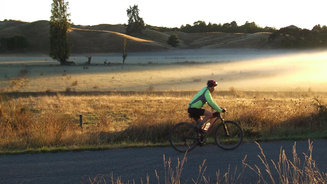 cyclist