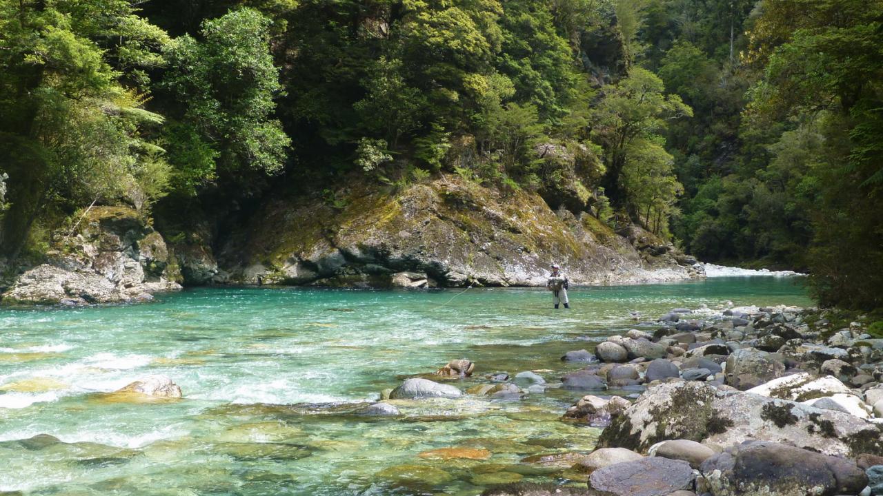 Promising river