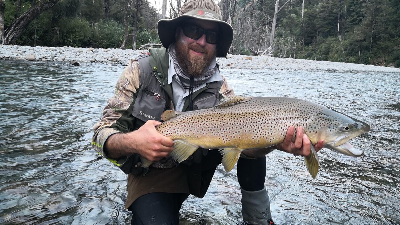 There's gold around 