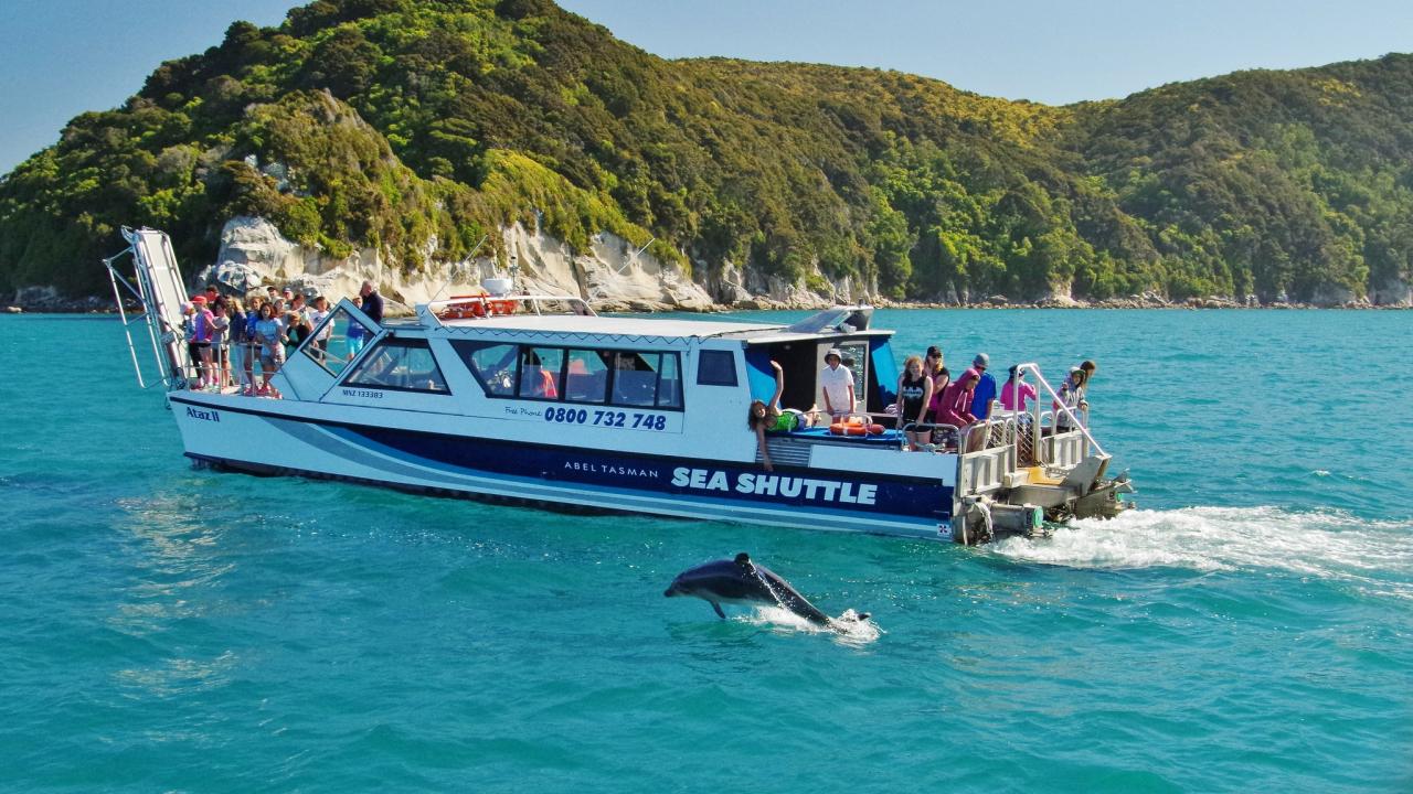 Cruise day tour Abel Tasman National Park. We take you to see the best scenic nature spots and to do the best attractions while touring New Zealand with us.
