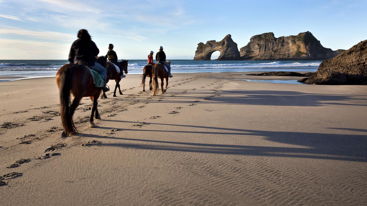 Custom tours to suit your interests.