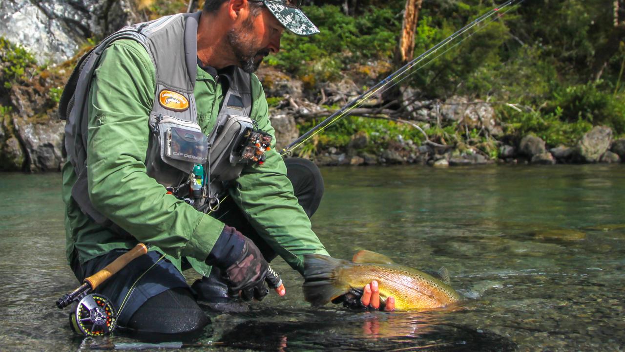 Catch & release